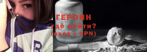 сатива Беломорск