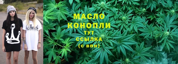 сатива Беломорск