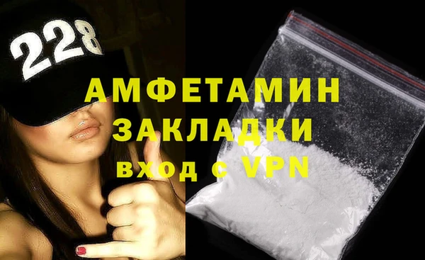 сатива Беломорск