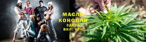 сатива Беломорск