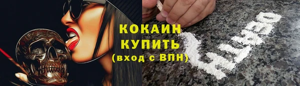 сатива Беломорск